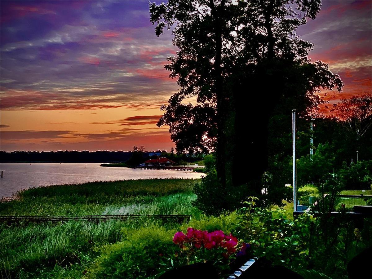 View Luxury Apartment